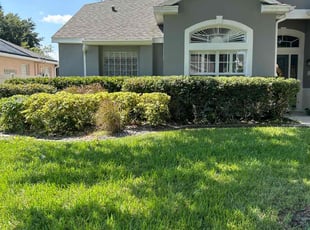 Felipe V.'s Bush Trimming service result