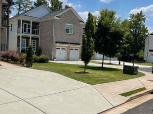 Chidhvilas K.'s turf care service result