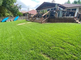 Larry H.'s turf maintenance service result