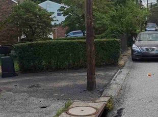 Nicole M.'s Bush Trimming service result