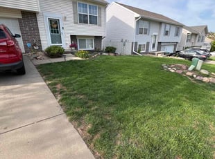 Hector C.'s lawn service service result