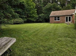 Teri L.'s lawn service service result