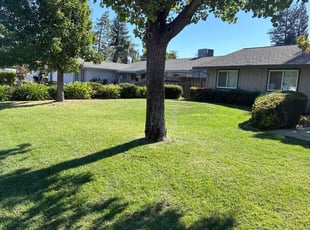 Melissa R.'s lawn service service result