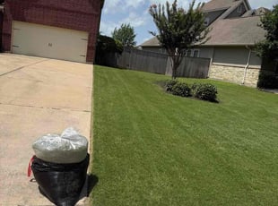Terrie H.'s grass cutting service result