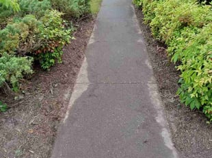 Evan C.'s lawn service service result