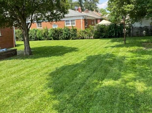 Sharon F.'s lawn care services service result
