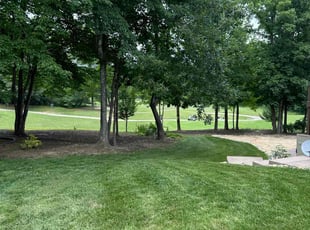Chris S.'s turf maintenance service result