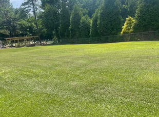 Kristen I.'s grass maintenance service result