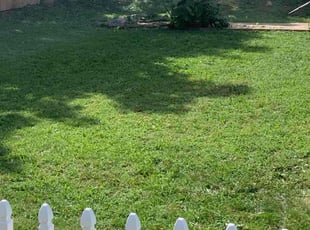 Travis B.'s grass cutting service result