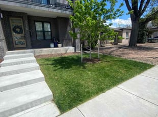 Becky M.'s lawn service service result