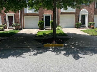 Barbara D.'s turf care service result