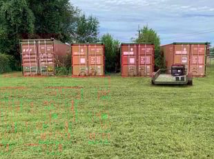 Mina N.'s turf maintenance service result