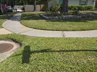 Sherelle A.'s lawn service service result