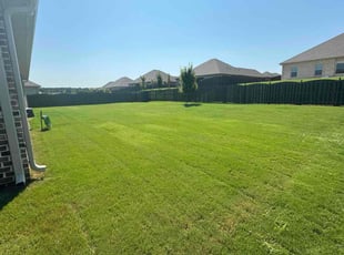 Marilyn C.'s lawn maintenance service result