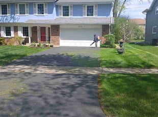 Shruti S.'s grass cutting service result