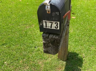 Kayla W.'s turf care service result