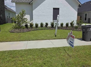 Saba C.'s turf maintenance service result