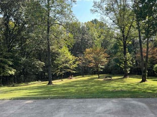 Sadey H.'s lawn service service result