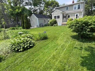 Veronica M.'s grass maintenance service result
