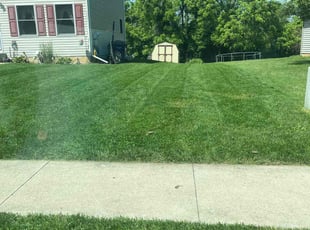 Elizabeth S.'s turf care service result