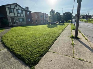 Tiffany W.'s yard care service result