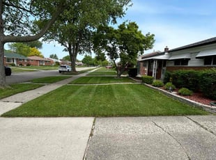 Kari S.'s lawn care service result