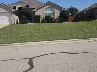 Torea B.'s lawn care services service result