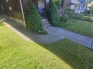Clifford T.'s Landscaping service result