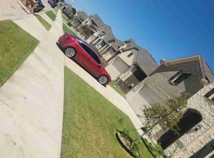 Gus D.'s grass cutting service result