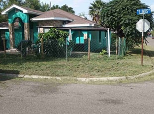 Jasmine A.'s grass cutting service result