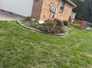 Shannon M.'s grass cutting service result
