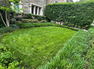 Madeline R.'s turf maintenance service result