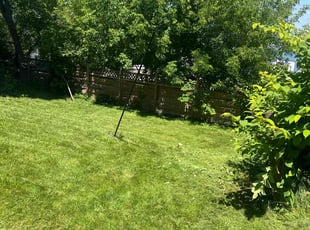 Angela M.'s lawn maintenance service result