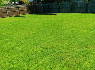Brennen D.'s residential landscaping service result