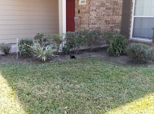 Andrew L.'s Flower Bed Weeding service result