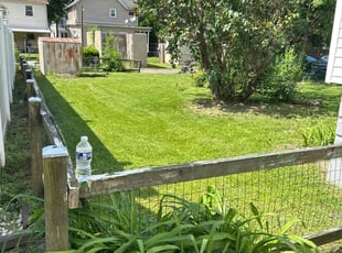 Dana R.'s lawn maintenance service result