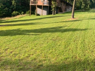 Robert D.'s grass maintenance service result