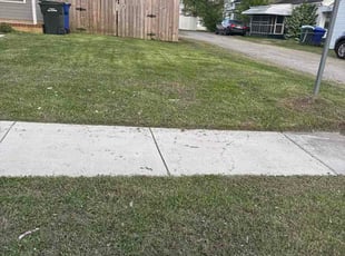 Tan N.'s Long Grass Cleanup service result