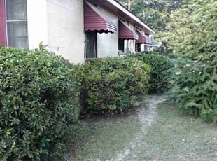 Sanjay T.'s Other service result