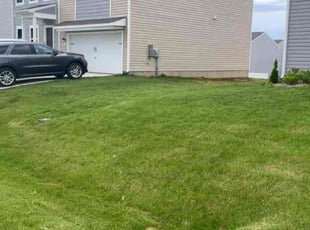 Marian C.'s lawn care services service result