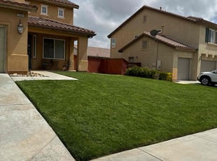 Tony C.'s lawn service service result