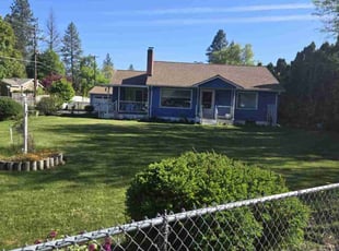 Douglas P.'s lawn care service result