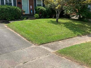 Nicholas G.'s lawn maintenance service result