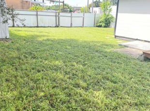 Sravani G.'s grass cutting service result