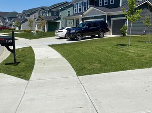 Carol B.'s lawn care services service result