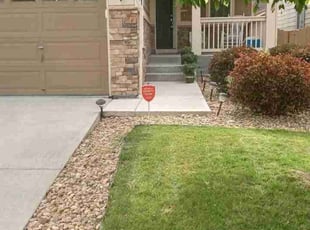 Donna D.'s grass cutting service result