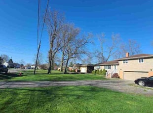 Michael F.'s turf care service result