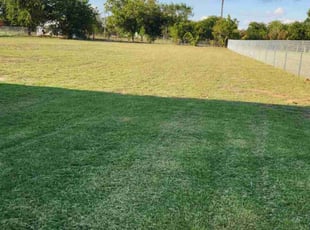 Christell L.'s Cleanups service result