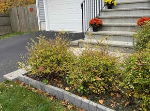 Terri A.'s Bush Trimming service result