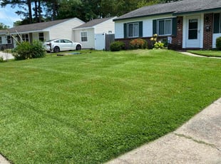 Lindsay T.'s lawn care service result